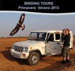 BANNER - birding tours