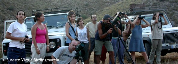 Birding Murcia - actividades 16