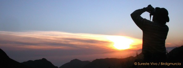 Birding Murcia Rutas Persanalizadas 02