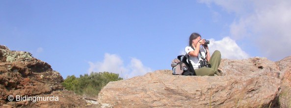 Birding Murcia Rutas Personalizadas 01