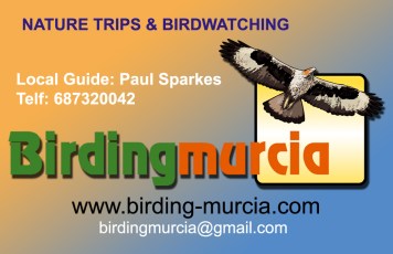 Birding Murcia - Contact 02