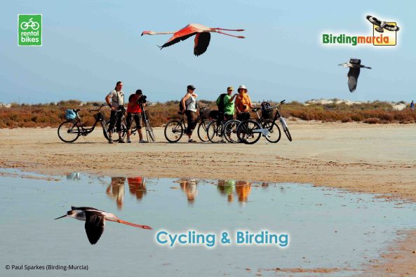 17 Birdingmurcia - Cycling&Birding