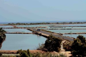 02 birdingmurcia ruta5