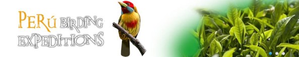 Perú Birding Expeditions 1