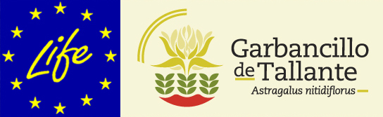 cabecera_garbancillo_blog