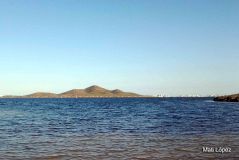 Isla Perdiguera - birdingmurcia 01